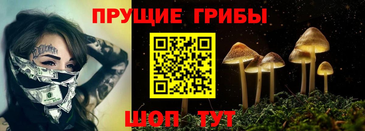Новочебоксарск  Псилоцибиновые грибы мухоморы  Вход с VPN  Галлюциногенные грибы Cubensis 